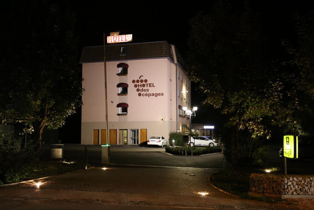 Logis Hotel des Cépages Arbois Exterior foto