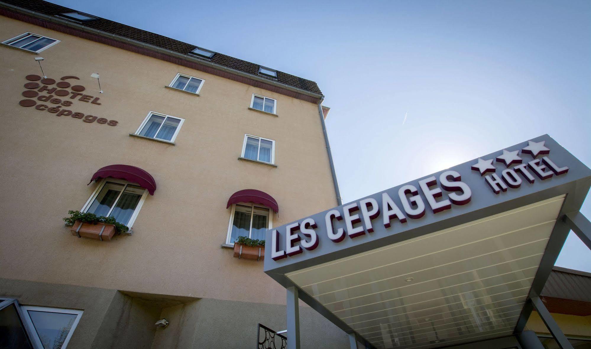 Logis Hotel des Cépages Arbois Exterior foto